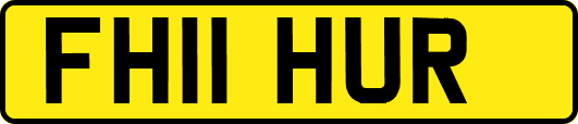 FH11HUR