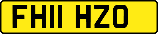 FH11HZO