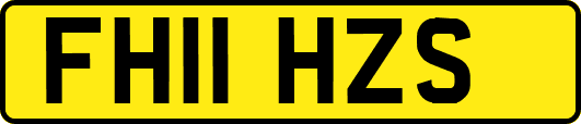 FH11HZS