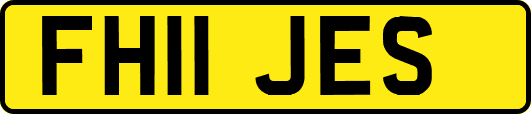 FH11JES