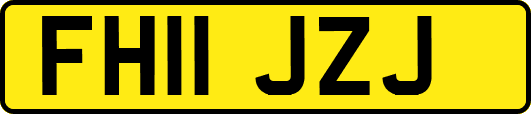 FH11JZJ
