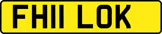 FH11LOK