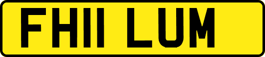 FH11LUM