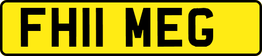 FH11MEG
