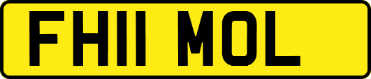 FH11MOL