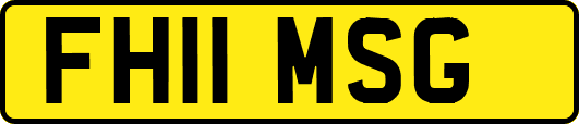 FH11MSG