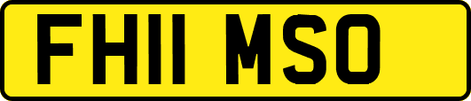 FH11MSO