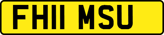 FH11MSU