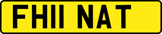FH11NAT