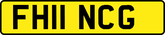 FH11NCG