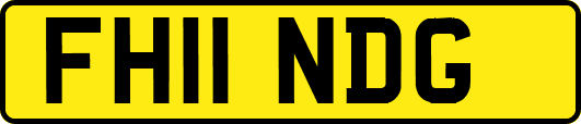 FH11NDG