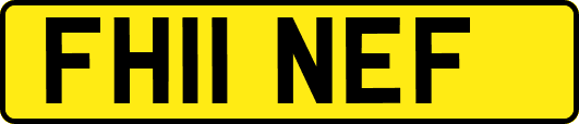 FH11NEF