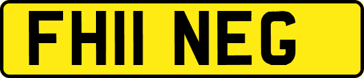 FH11NEG