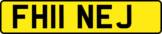 FH11NEJ