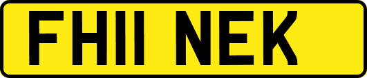 FH11NEK