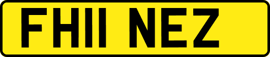 FH11NEZ