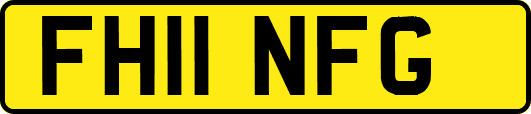 FH11NFG