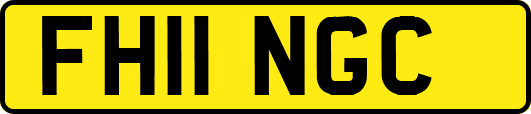 FH11NGC