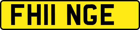 FH11NGE