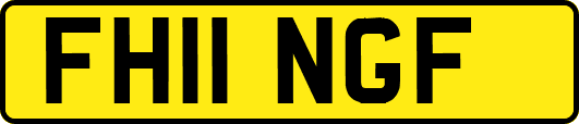 FH11NGF