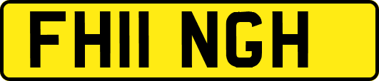 FH11NGH
