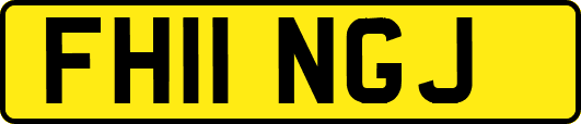 FH11NGJ