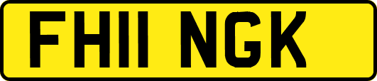 FH11NGK