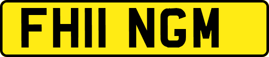 FH11NGM