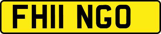 FH11NGO