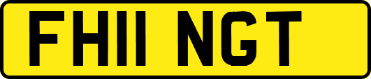 FH11NGT