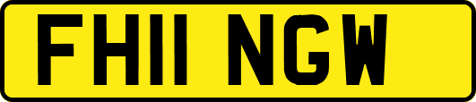 FH11NGW