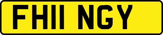 FH11NGY