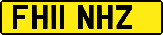 FH11NHZ