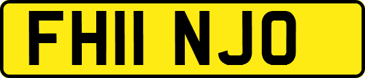 FH11NJO