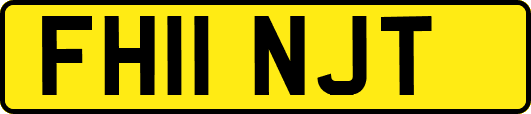 FH11NJT