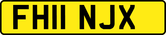 FH11NJX