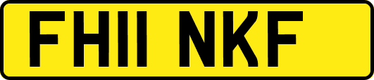 FH11NKF