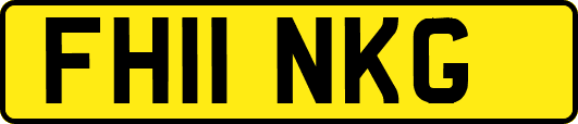 FH11NKG
