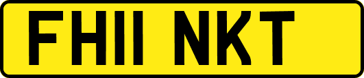 FH11NKT