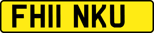 FH11NKU