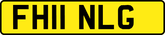 FH11NLG