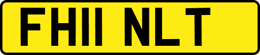 FH11NLT