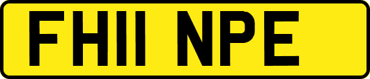 FH11NPE