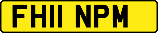 FH11NPM