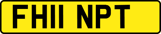 FH11NPT