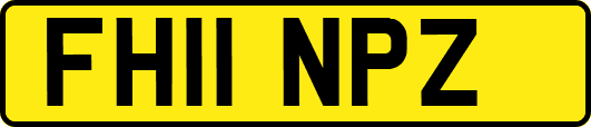FH11NPZ