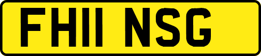 FH11NSG