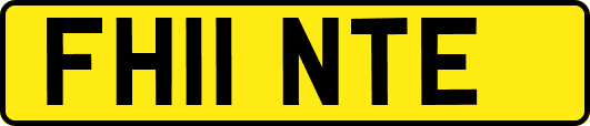 FH11NTE