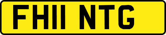 FH11NTG