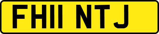 FH11NTJ